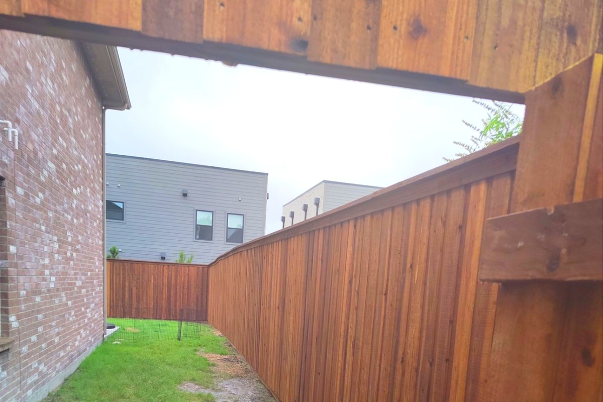 Freshly stained cedar fence side yard
